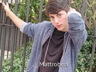 Mattrobert