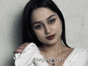 Meganecton