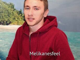 Melikanesfeel