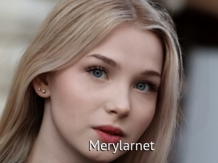 Merylarnet