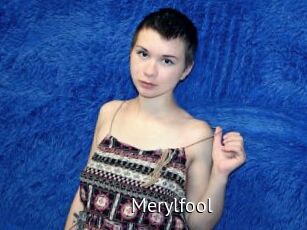 Merylfool