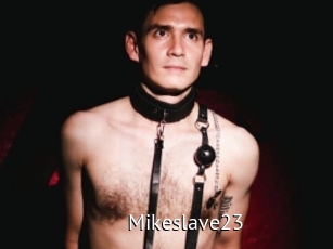 Mikeslave23