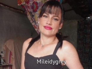 Mileidygrey