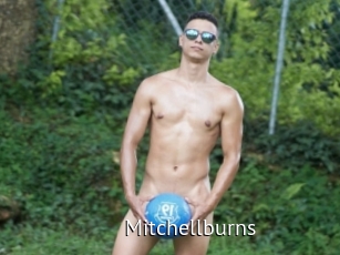 Mitchellburns