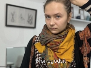 Moiregodsil