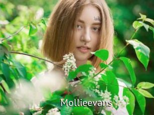 Mollieevans