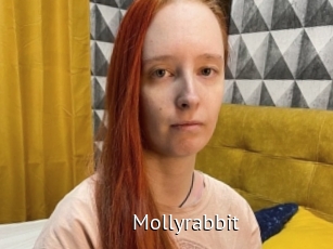 Mollyrabbit