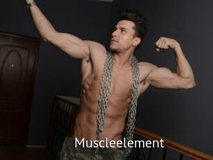 Muscleelement