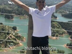 Mutachi_blosom