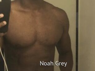 Noah_Grey