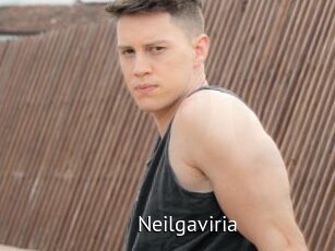 Neilgaviria