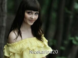 Nicekarina20