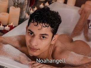 Noahangell