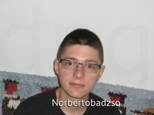 Norbertobadzso