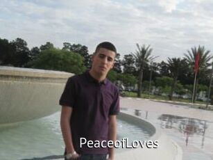 PeaceofLoves