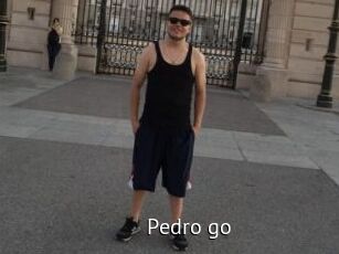 Pedro_go