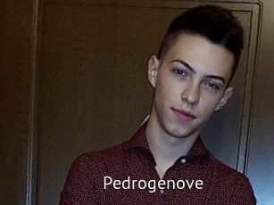 Pedrogenove