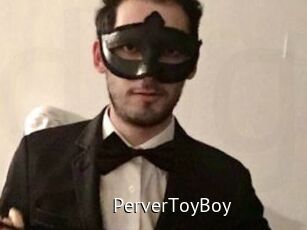 PerverToyBoy