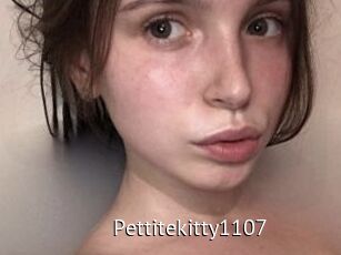 Pettitekitty1107