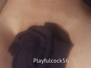 Playfulcock56