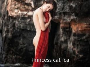 Princess_cat_ica