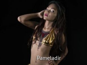 Pameladir