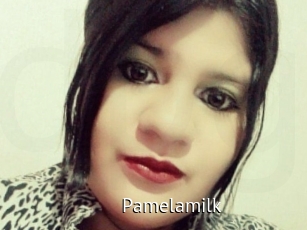 Pamelamilk