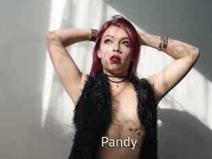 Pandy