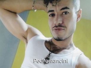 Pedromancini