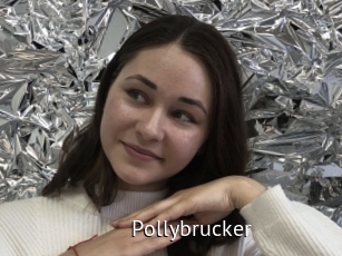 Pollybrucker