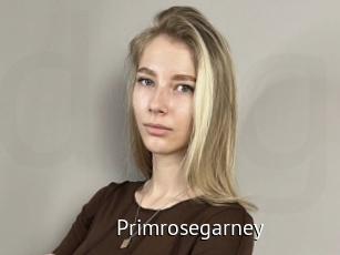 Primrosegarney