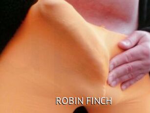 ROBIN_FINCH