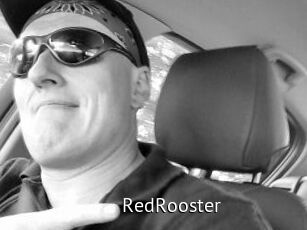 RedRooster