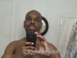 Rodney_Rabbit