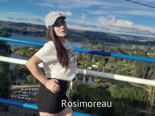 Rosimoreau