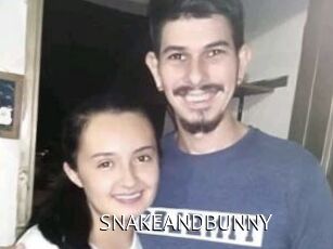 SNAKEANDBUNNY