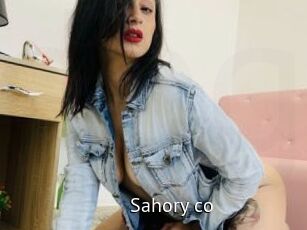 Sahory_co