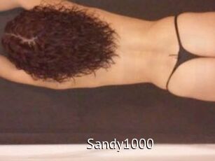 Sandy1000