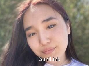 SaniLink