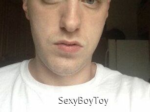 SexyBoyToy