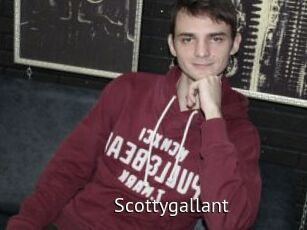 Scottygallant