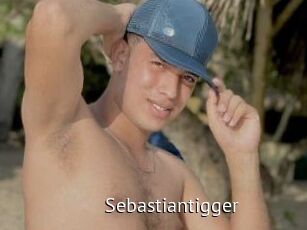 Sebastiantigger