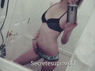 Secretesuprise87