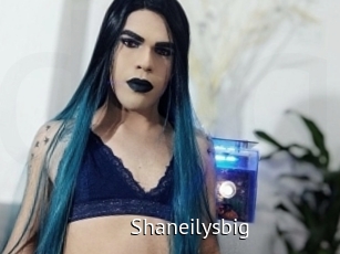 Shaneilysbig