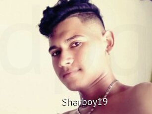 Sharboy19