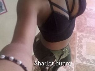 Sharlot_bunny