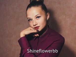 Shineflowerbb