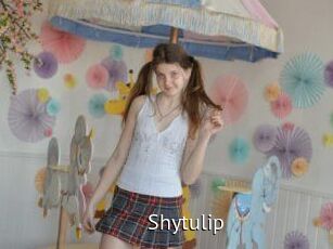 Shytulip