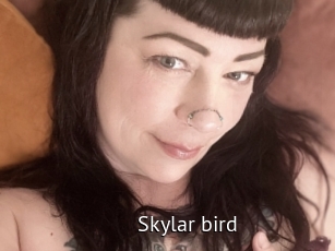 Skylar_bird