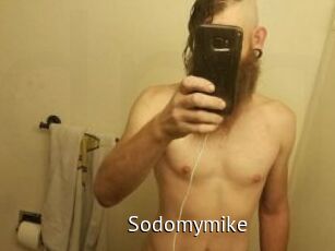 Sodomymike